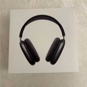 Apple Black Headphones
